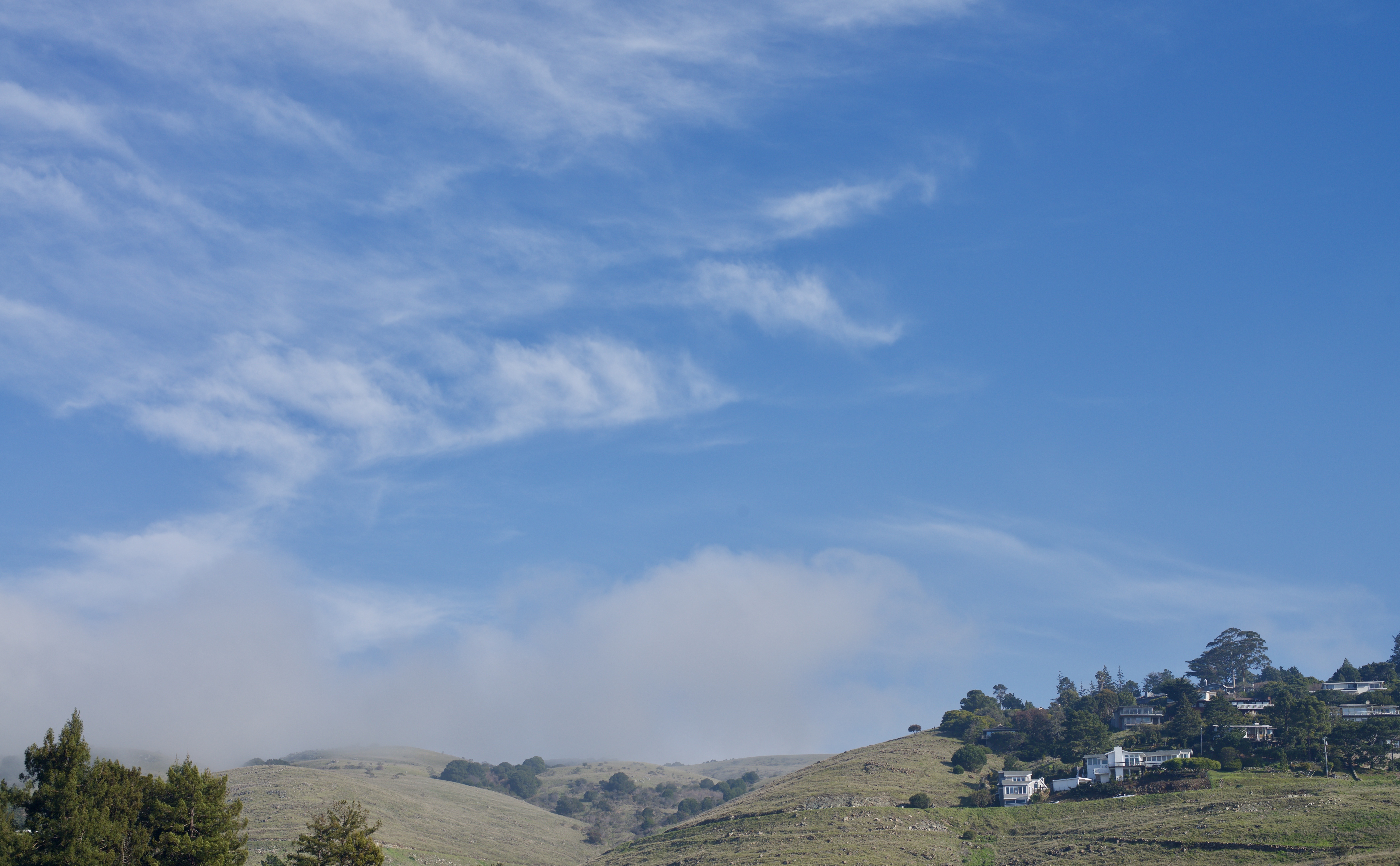 Old St Hilary's Open Space Preserve hillside above Tiburon
