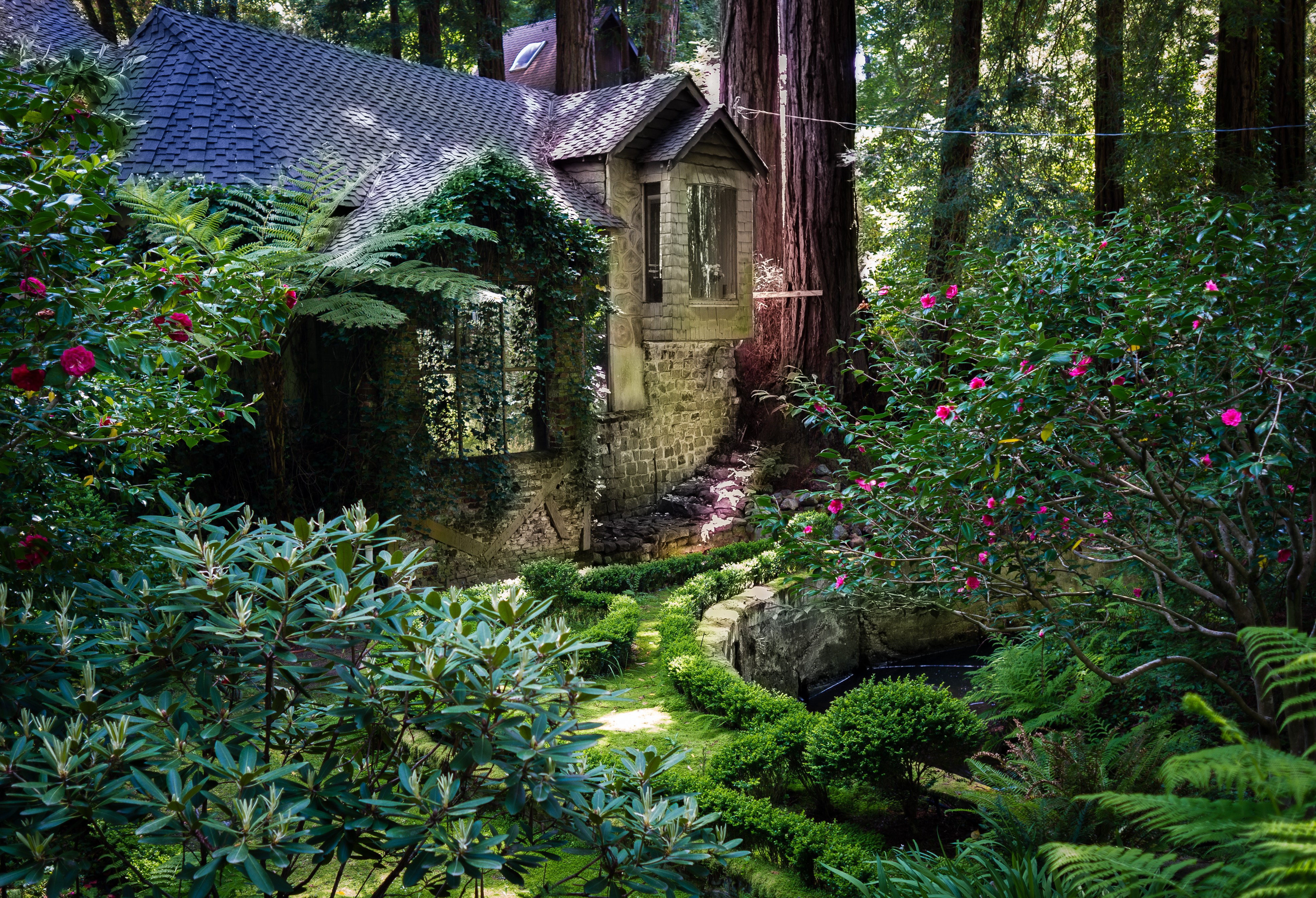 House nestled among redwood trees in Cascade Canyon
