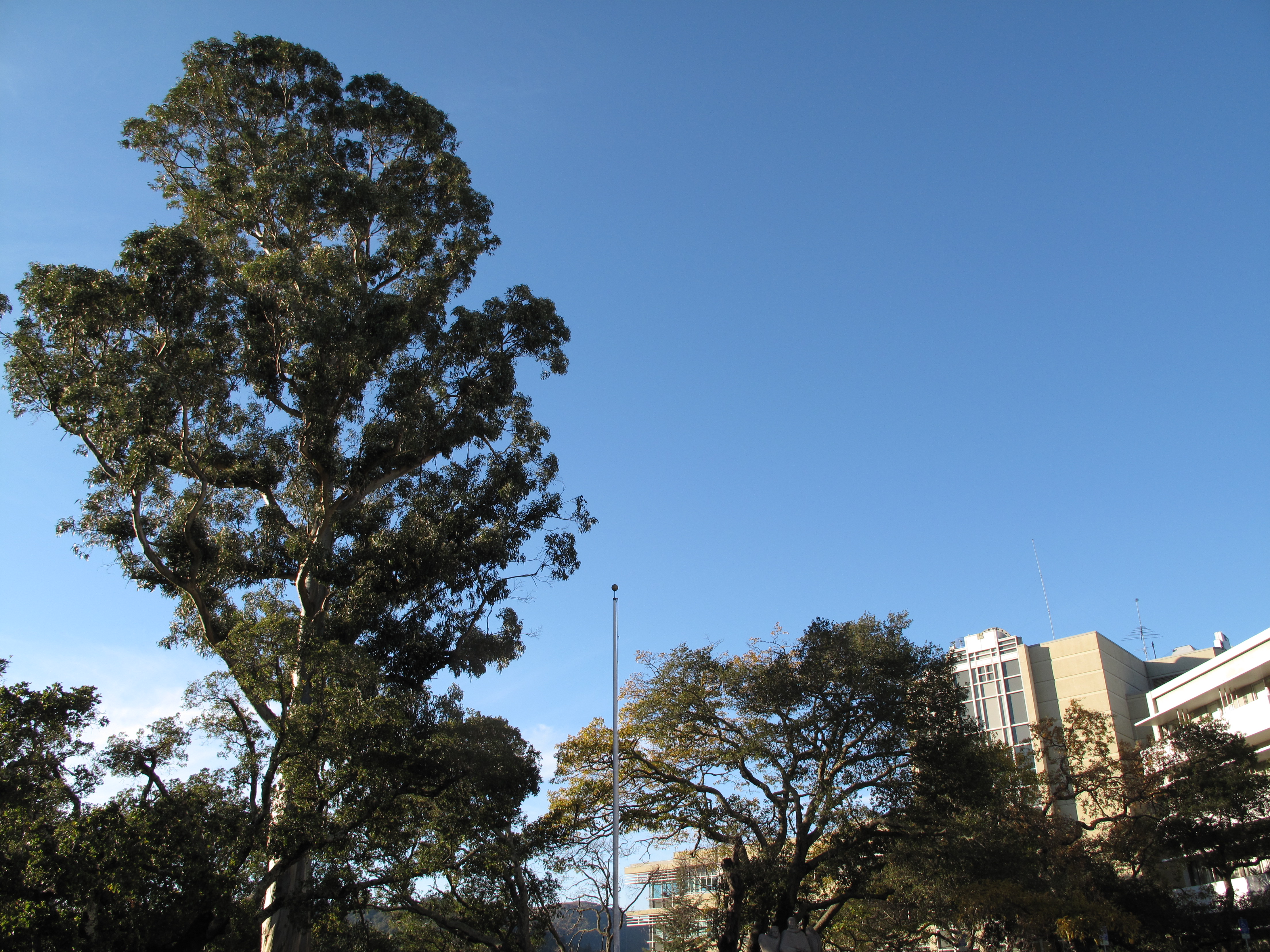 MarinHealth Medical Center campus at 250 Bon Air