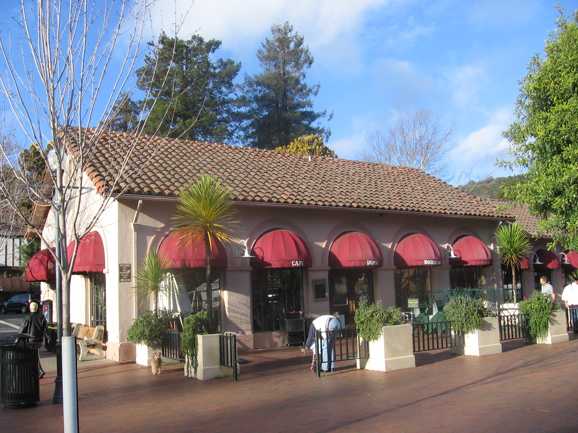 Tamalpais Valley redwood neighborhood