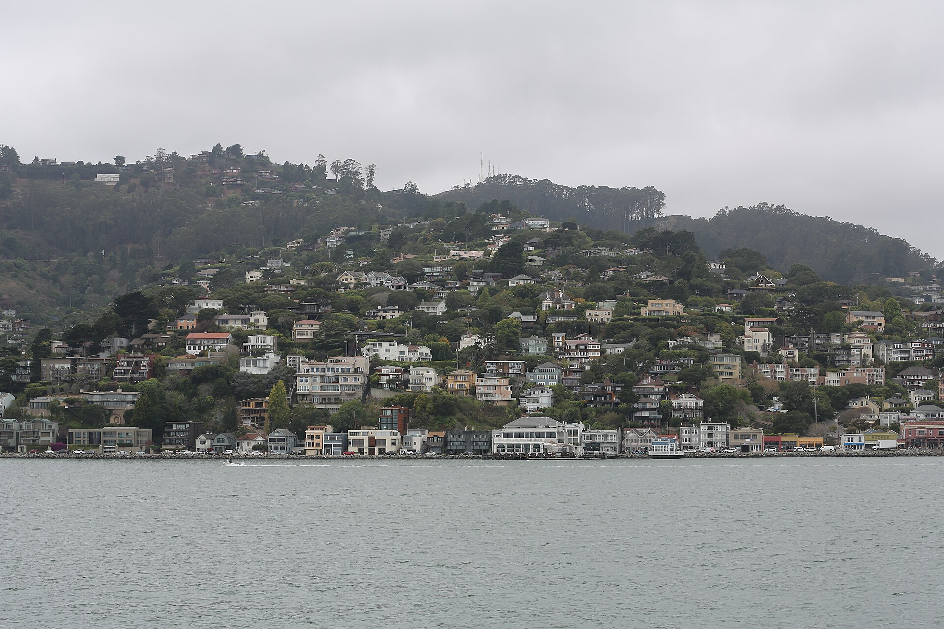 Hurricane Gulch south-facing hillside, Sausalito