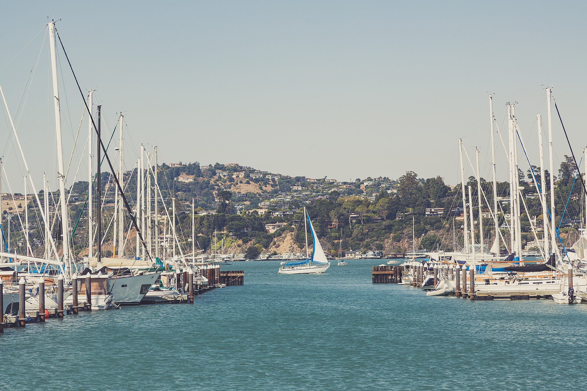 Belveron neighborhood Tiburon